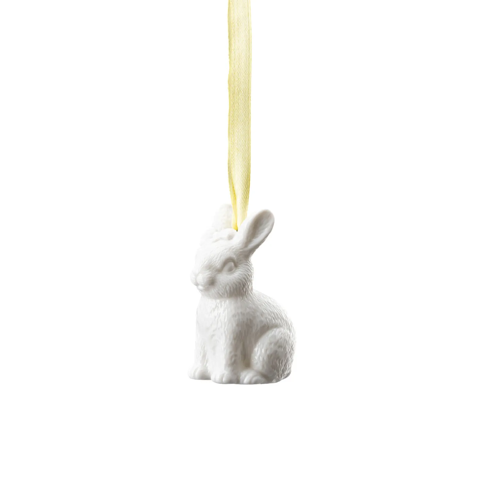 Hare sitting