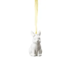 Hare sitting