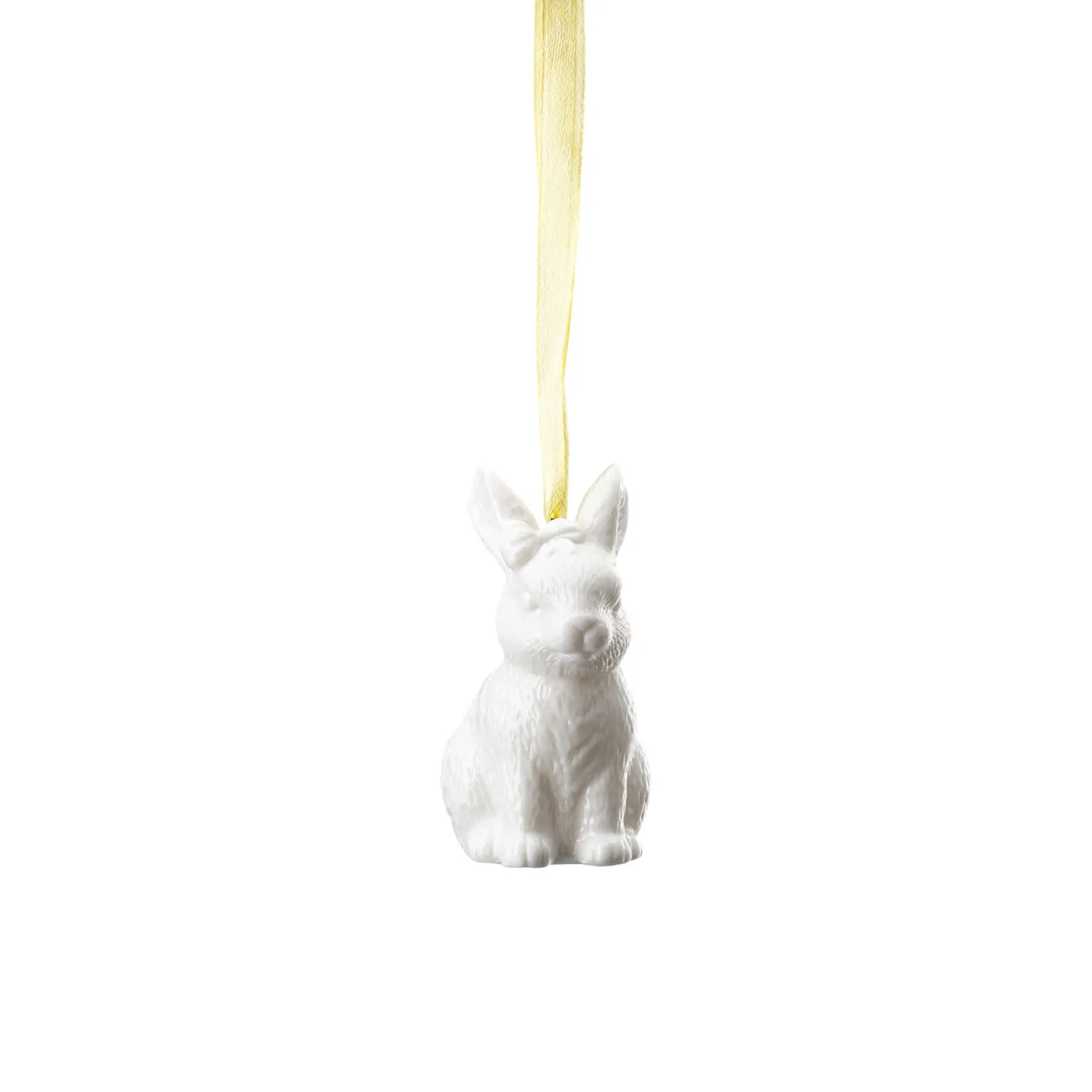 Hare sitting